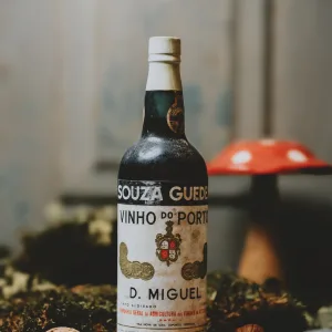 Souza Guedes - D. Miguel