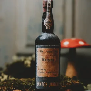 Santos Junior - Melhoria de 1931