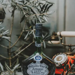 B. Gélas & Fils - VSOP