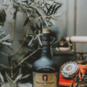 Baron Otard - V.S.O.P Fine Champagne