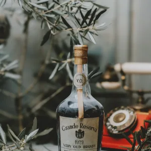 Delaforce Sons & Co - Very Old Brandy Grande Reserva 1929