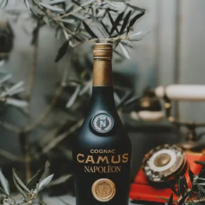 Camus - Napoléon