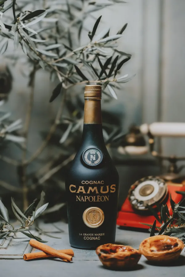 Camus - Napoléon