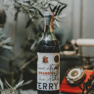 Fernando A. de Terry - Brandy