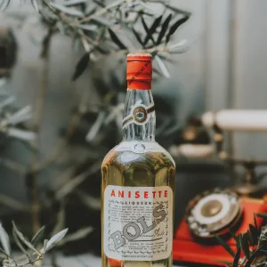 Bols - Anisette